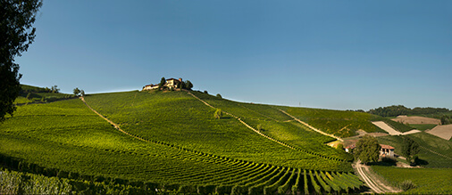 winery elvio cogno